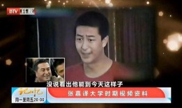 笑死人的爆料视频大全集,笑死人的爆料视频大盘点